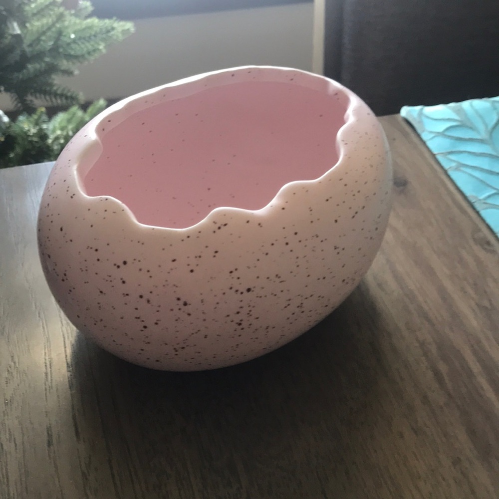 Pink Easter Egg Plant Holder